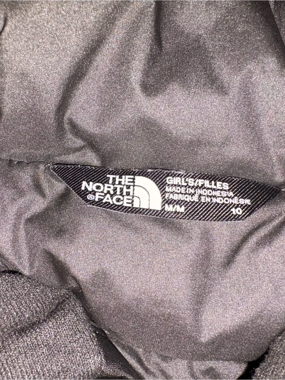 The North Face Down “Pallie” Jacket